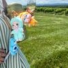 avaeri_luxfinds